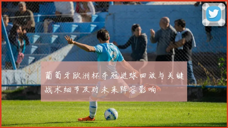 葡萄牙欧洲杯夺冠进球回放与关键战术细节及对未来阵容影响