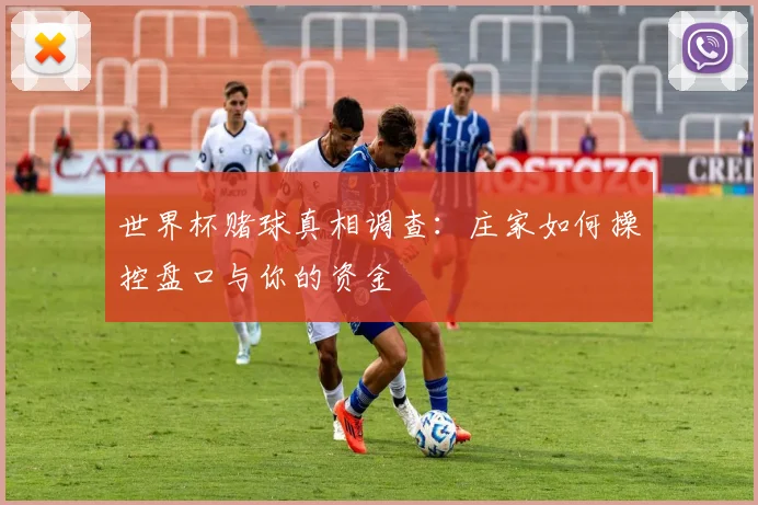 世界杯赌球真相调查：庄家如何操控盘口与你的资金