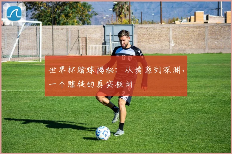 世界杯赌球揭秘：从诱惑到深渊，一个赌徒的真实教训