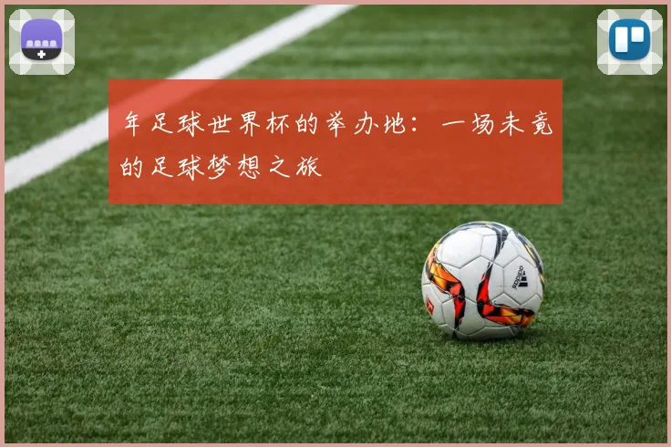 年足球世界杯的举办地：一场未竟的足球梦想之旅