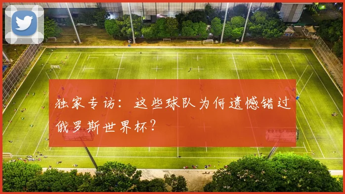 独家专访：这些球队为何遗憾错过俄罗斯世界杯？