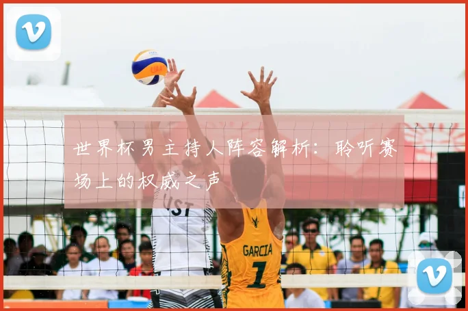 世界杯男主持人阵容解析：聆听赛场上的权威之声