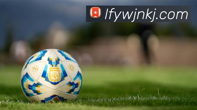 开云在线官网登录入口APP 封面图